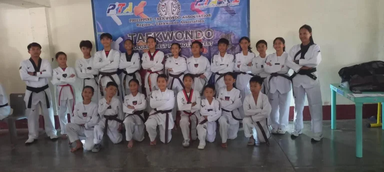 Taekwondo Promotion